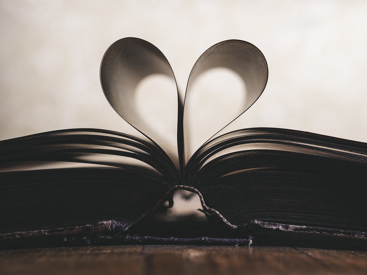 Image of a book with the pages shaped like a heart.